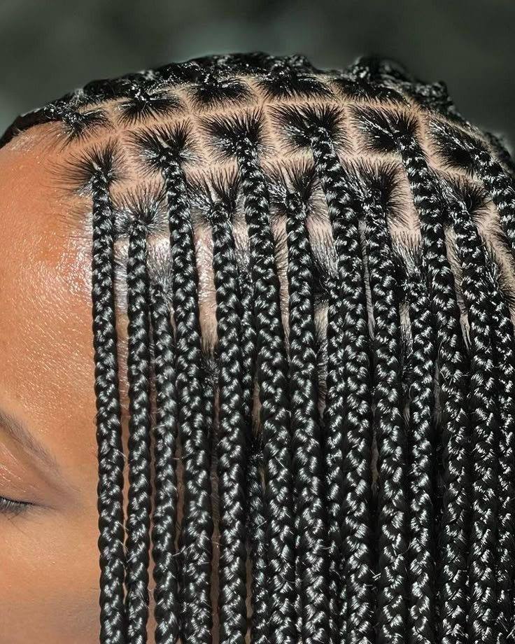 Box Braids